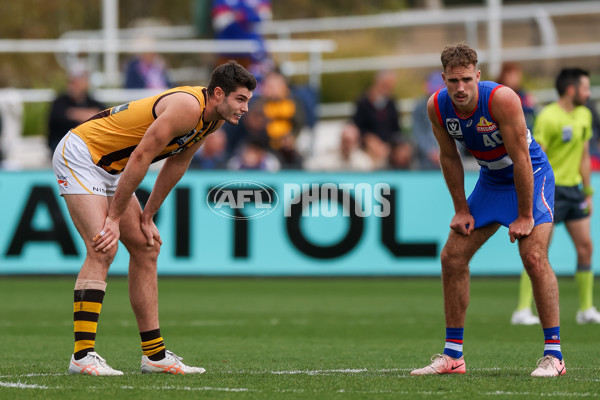VFL 2025 First Preliminary Final - Footscray v Box Hill - A-62795008