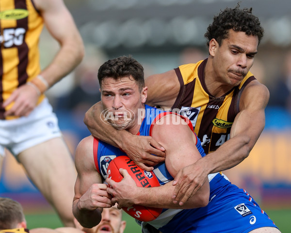 VFL 2025 First Preliminary Final - Footscray v Box Hill - A-62795027