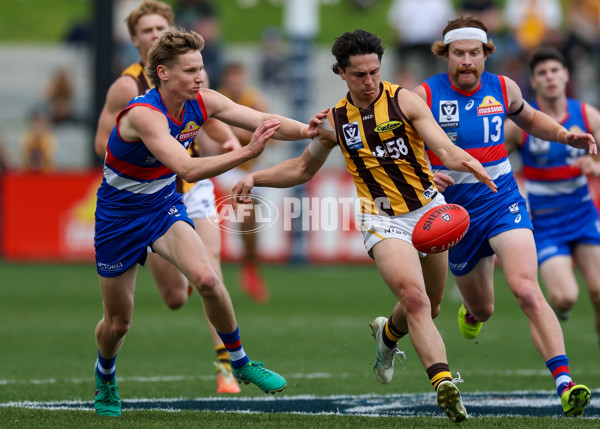 VFL 2025 First Preliminary Final - Footscray v Box Hill - A-62795665