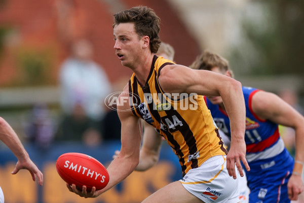 VFL 2025 First Preliminary Final - Footscray v Box Hill - A-62795669