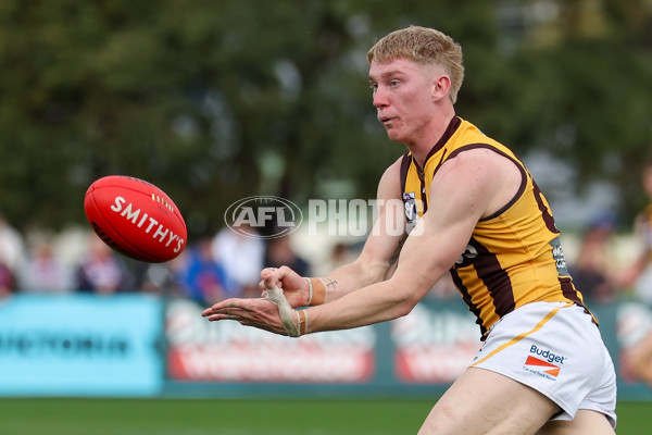 VFL 2025 First Preliminary Final - Footscray v Box Hill - A-62795707