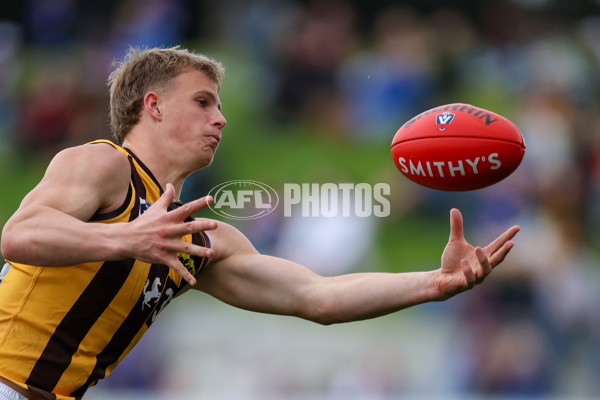 VFL 2025 First Preliminary Final - Footscray v Box Hill - A-62795731