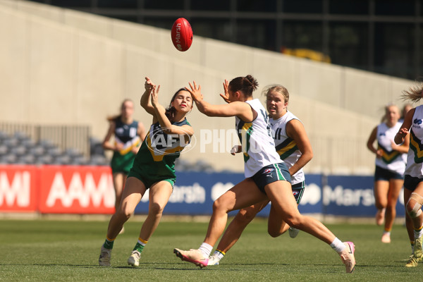 AFL National Futures Girls 2025 - Team Vescio v Team Conti - A-62805396