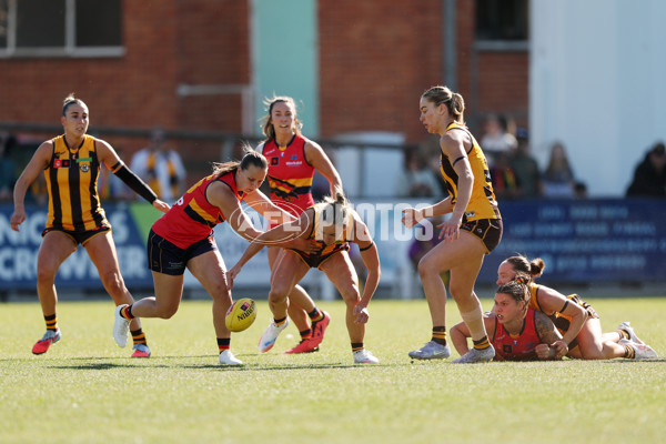 AFLW 2025 Round 05 - Hawthorn v Adelaide - A-62812342