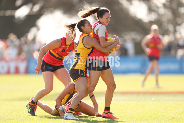 AFLW 2025 Round 05 - Hawthorn v Adelaide - A-62815301