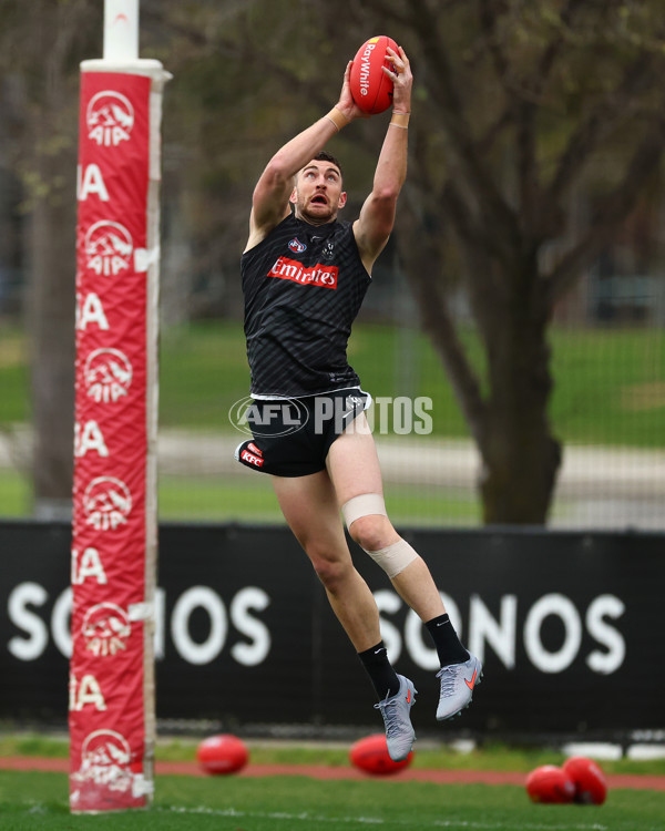 AFL 2025 Training - Collingwood 160925 - A-62846934