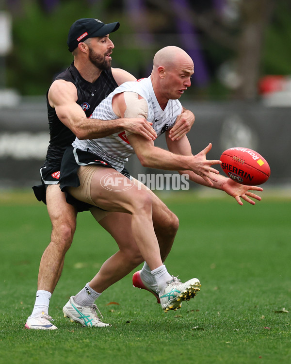 AFL 2025 Training - Collingwood 160925 - A-62847687