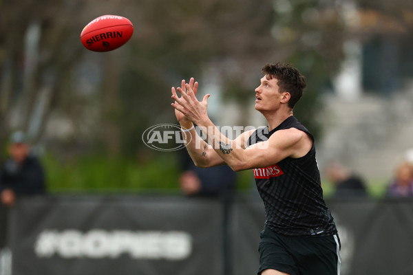 AFL 2025 Training - Collingwood 160925 - A-62849316