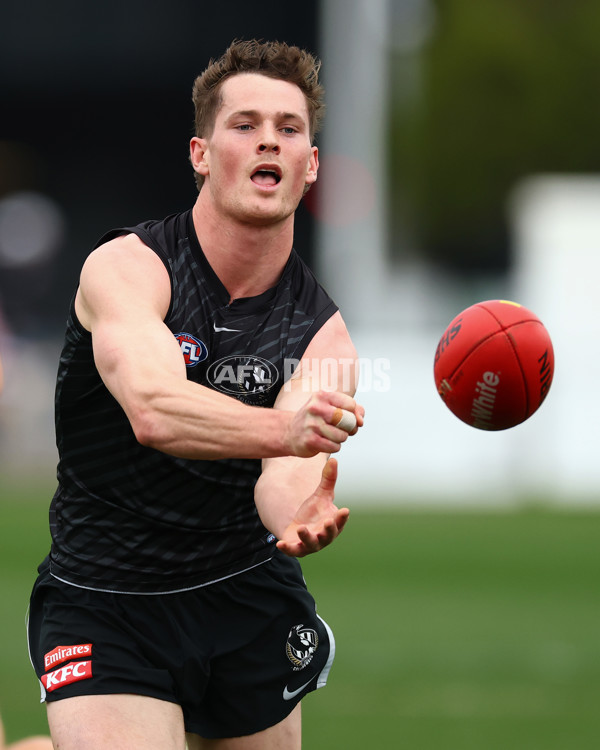 AFL 2025 Training - Collingwood 160925 - A-62849334