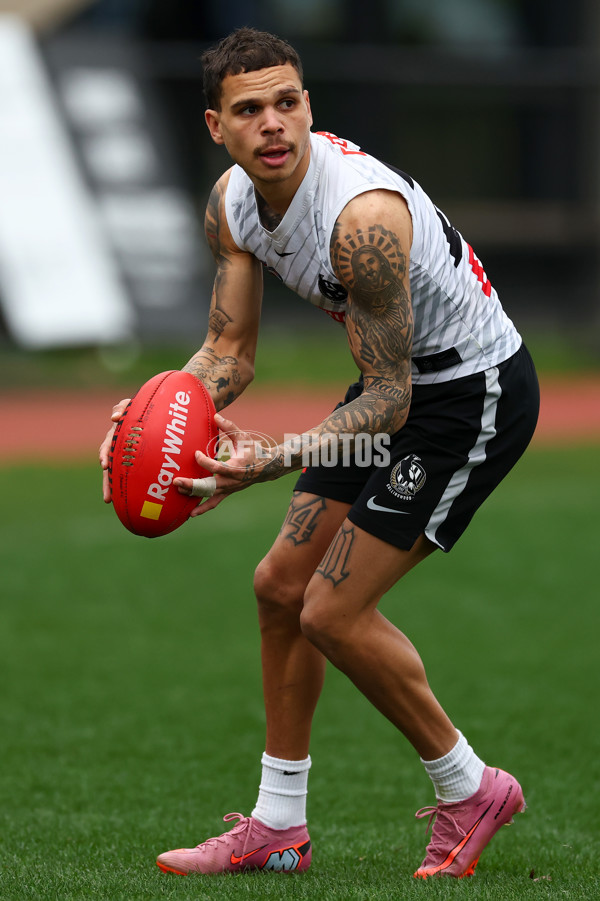 AFL 2025 Training - Collingwood 160925 - A-62849362