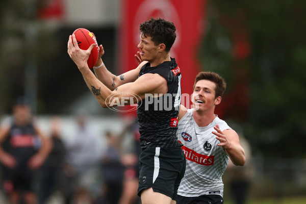 AFL 2025 Training - Collingwood 160925 - A-62850482