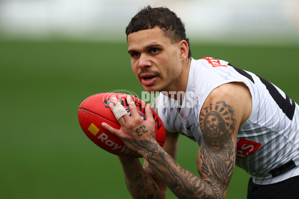 AFL 2025 Training - Collingwood 160925 - A-62850528