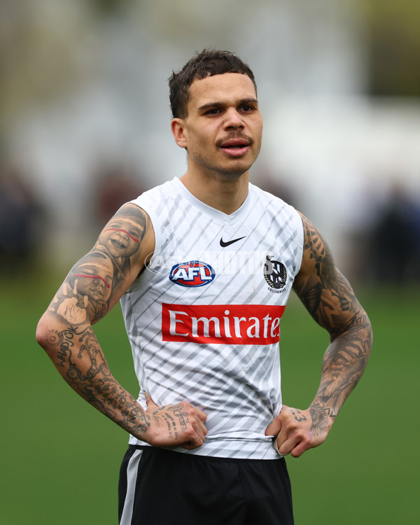 AFL 2025 Training - Collingwood 160925 - A-62850534