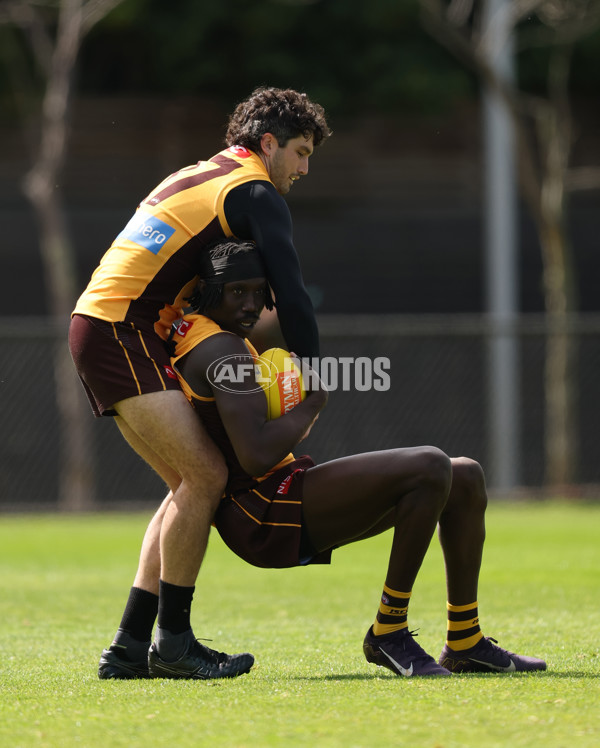 AFL 2025 Training - Hawthorn 170925 - A-62852478