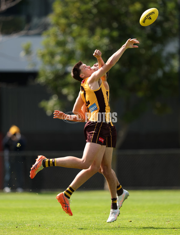 AFL 2025 Training - Hawthorn 170925 - A-62852482
