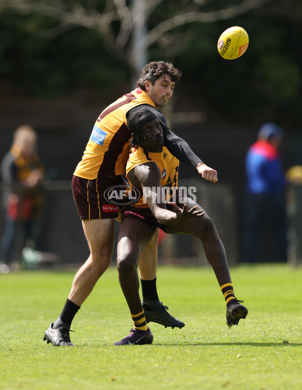 AFL 2025 Training - Hawthorn 170925 - A-62852489