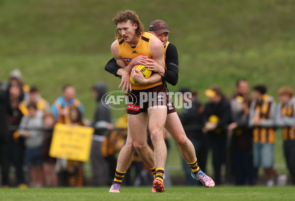 AFL 2025 Training - Hawthorn 170925 - A-62852497
