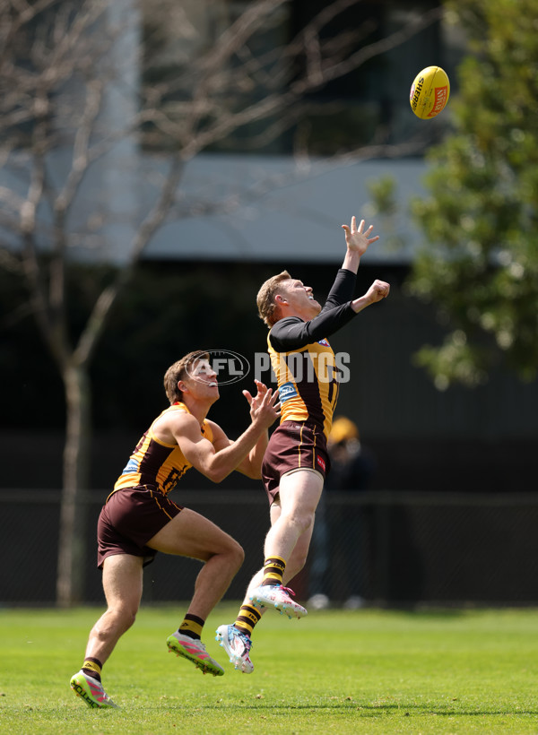 AFL 2025 Training - Hawthorn 170925 - A-62855693