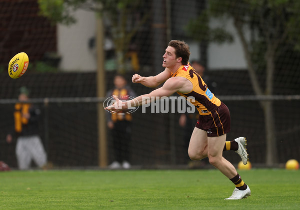 AFL 2025 Training - Hawthorn 170925 - A-62855711