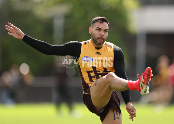 AFL 2025 Training - Hawthorn 170925 - A-62855733