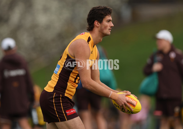 AFL 2025 Training - Hawthorn 170925 - A-62875737