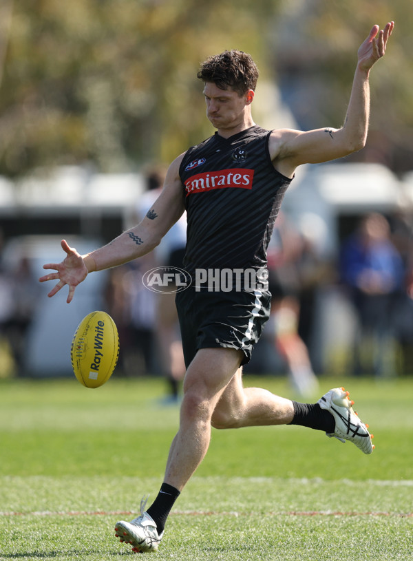 AFL 2025 Training - Collingwood 180925 - A-62885629