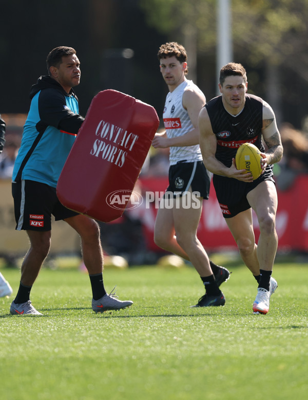 AFL 2025 Training - Collingwood 180925 - A-62886377