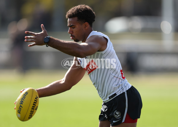 AFL 2025 Training - Collingwood 180925 - A-62886388