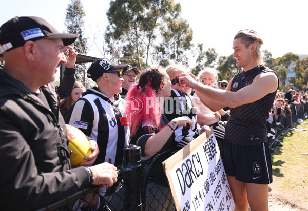 AFL 2025 Training - Collingwood 180925 - A-62886418