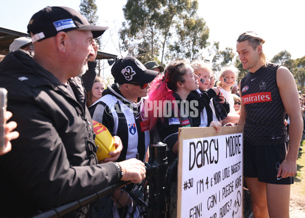 AFL 2025 Training - Collingwood 180925 - A-62886419