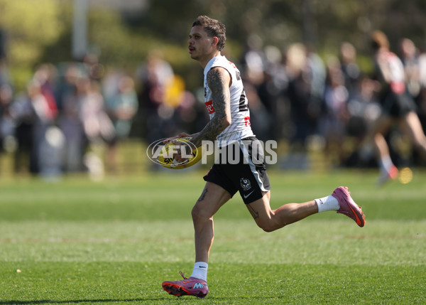 AFL 2025 Training - Collingwood 180925 - A-62888357