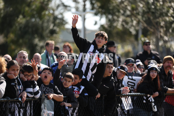 AFL 2025 Training - Collingwood 180925 - A-62888378