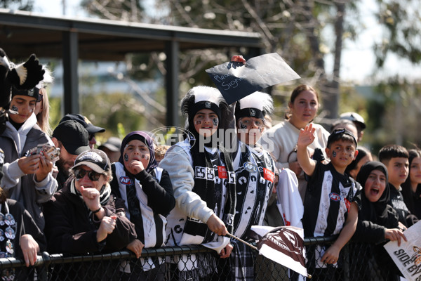 AFL 2025 Training - Collingwood 180925 - A-62888383
