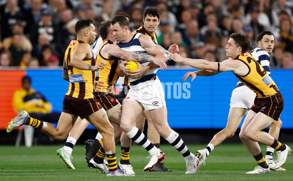 AFL 2025 Second Preliminary Final - Geelong v Hawthorn - A-62893887