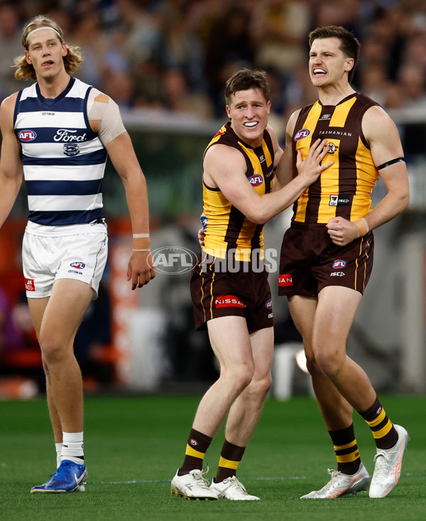 AFL 2025 Second Preliminary Final - Geelong v Hawthorn - A-62893892