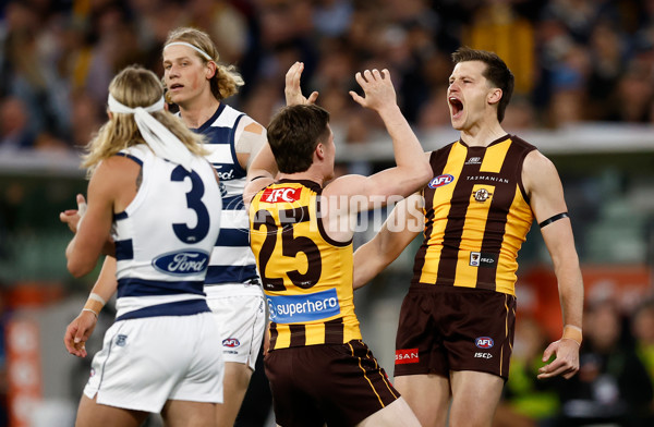 AFL 2025 Second Preliminary Final - Geelong v Hawthorn - A-62893896