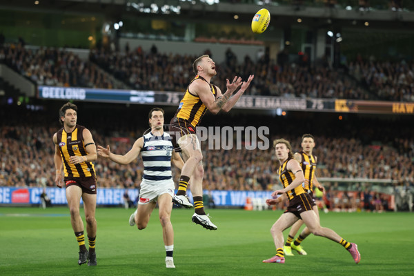 AFL 2025 Second Preliminary Final - Geelong v Hawthorn - A-62894686
