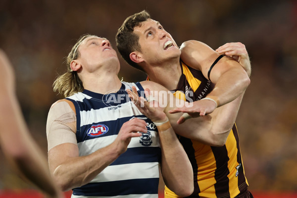 AFL 2025 Second Preliminary Final - Geelong v Hawthorn - A-62894687