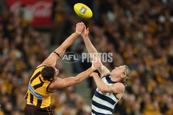 AFL 2025 Second Preliminary Final - Geelong v Hawthorn - A-62894694