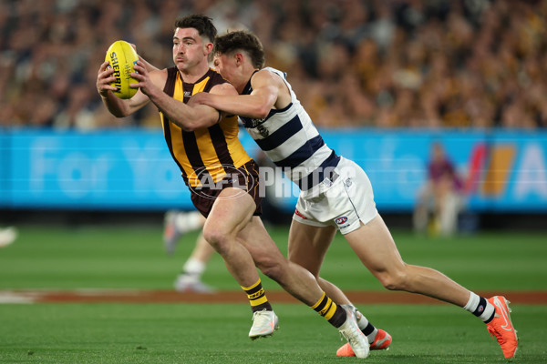 AFL 2025 Second Preliminary Final - Geelong v Hawthorn - A-62894707