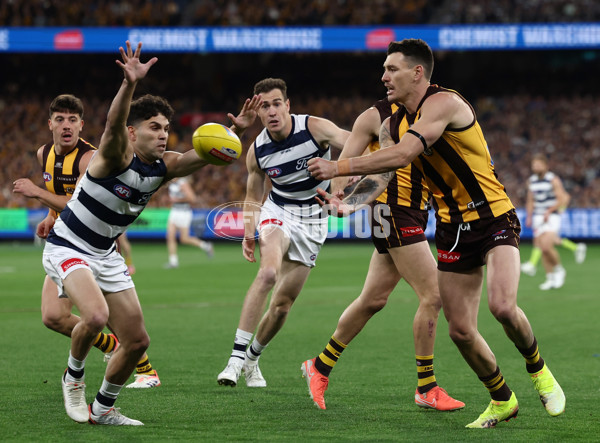 AFL 2025 Second Preliminary Final - Geelong v Hawthorn - A-62894709