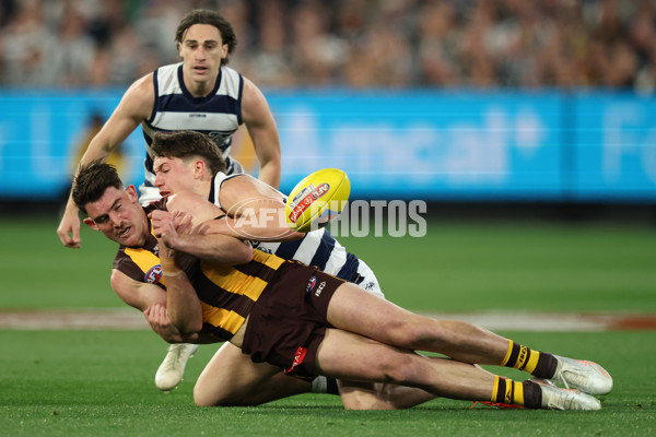 AFL 2025 Second Preliminary Final - Geelong v Hawthorn - A-62896641