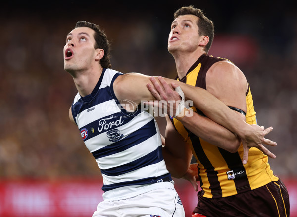 AFL 2025 Second Preliminary Final - Geelong v Hawthorn - A-62896648