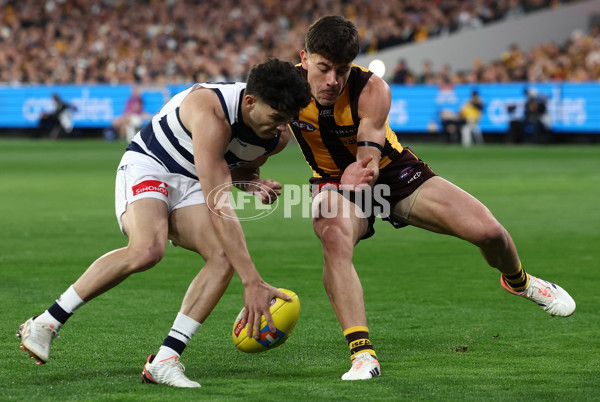 AFL 2025 Second Preliminary Final - Geelong v Hawthorn - A-62896679