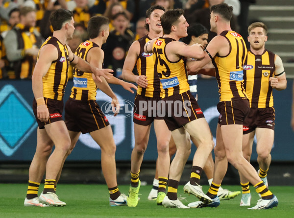 AFL 2025 Second Preliminary Final - Geelong v Hawthorn - A-62896683