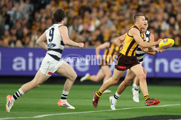 AFL 2025 Second Preliminary Final - Geelong v Hawthorn - A-62896687