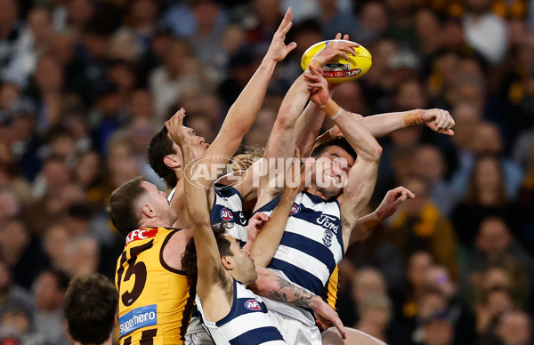 AFL 2025 Second Preliminary Final - Geelong v Hawthorn - A-62896727