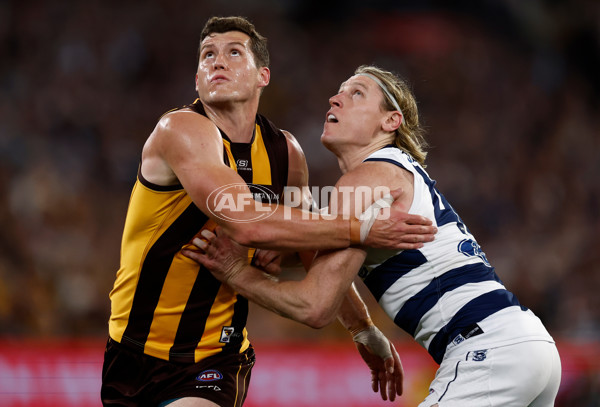 AFL 2025 Second Preliminary Final - Geelong v Hawthorn - A-62896729