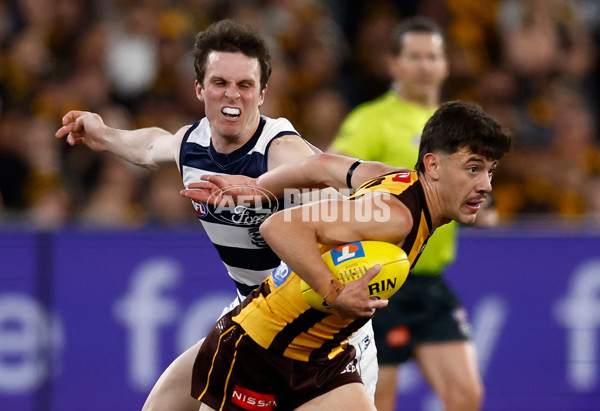 AFL 2025 Second Preliminary Final - Geelong v Hawthorn - A-62896730
