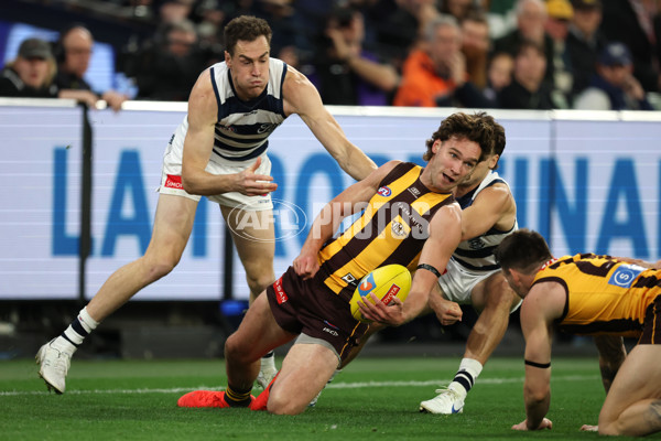 AFL 2025 Second Preliminary Final - Geelong v Hawthorn - A-62897150